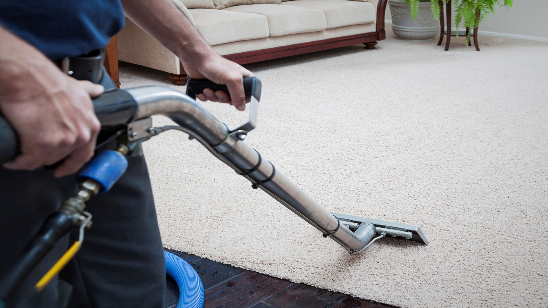 1547552699Carpet-Cleaning-2-Copy-1